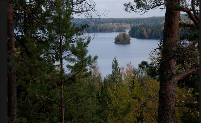 Mäntymetsän takana järvi.