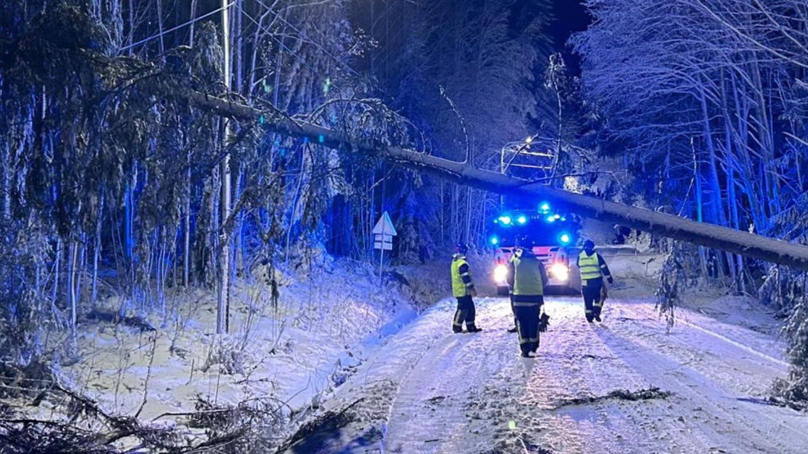 Uppdragen var bland annat skadeförebyggande uppgifter på grund av fallna träd och trafikuppdrag