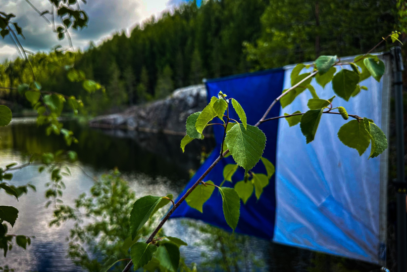 Koivun oksa, lippu ja vesistöä taustalla.