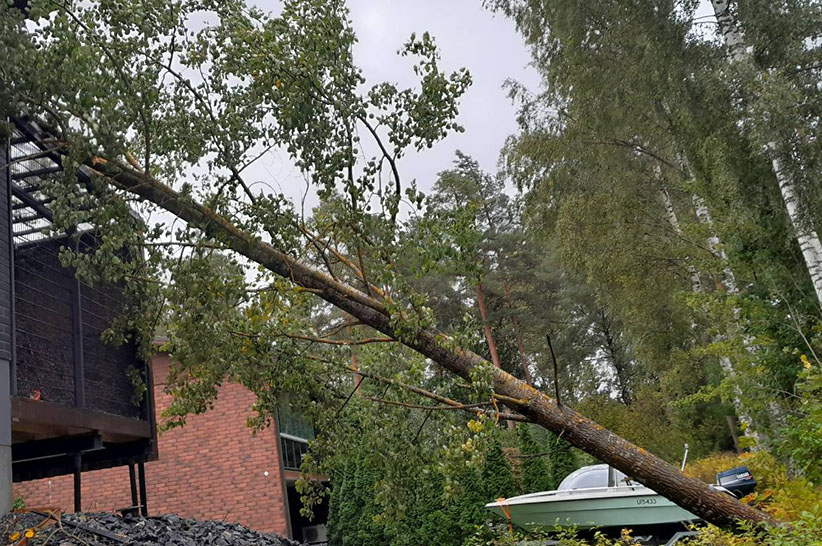 Kuvituskuva, jossa puu on kaatunut osittain rakennuksen päälle.