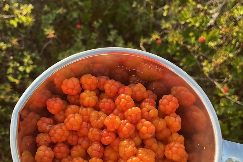 Hilloja metallisessa mitta-astiassa.