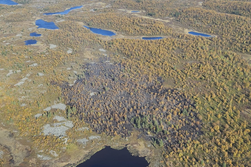 Ilmakuva maastopalosta tunturissa.