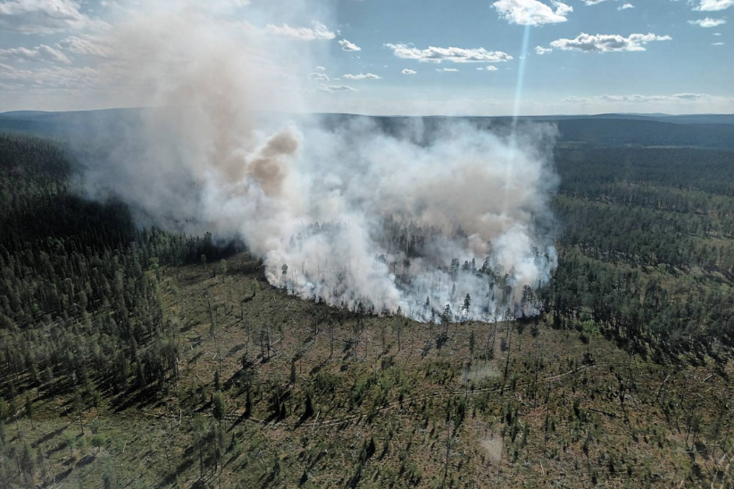 Metsää palaa ja siitä nousee paljon valkoista savua taivaalle.