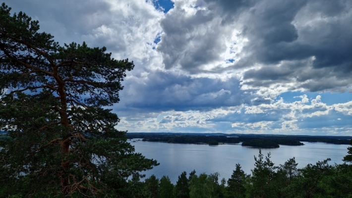  Metsää ja järvi. 