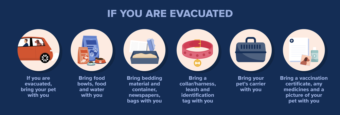 If you are evacuated: If you are evacuated, bring your pet with you. Take food bowls, food and water with you. Take bedding material and container, newspapers, bags with you. Bring a collar/harness, leash and identification tag with you. Bring yur pet's carrier with you. Bring a vaccination certificate, any medicines and a picture of your pet with you.