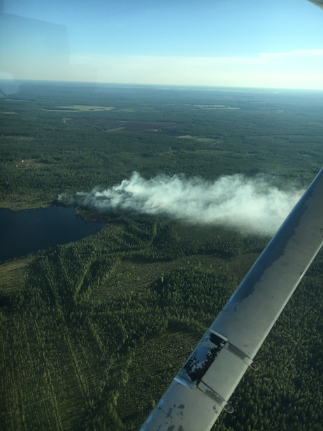Flygvy över en rökpelare från en skogsbrand.